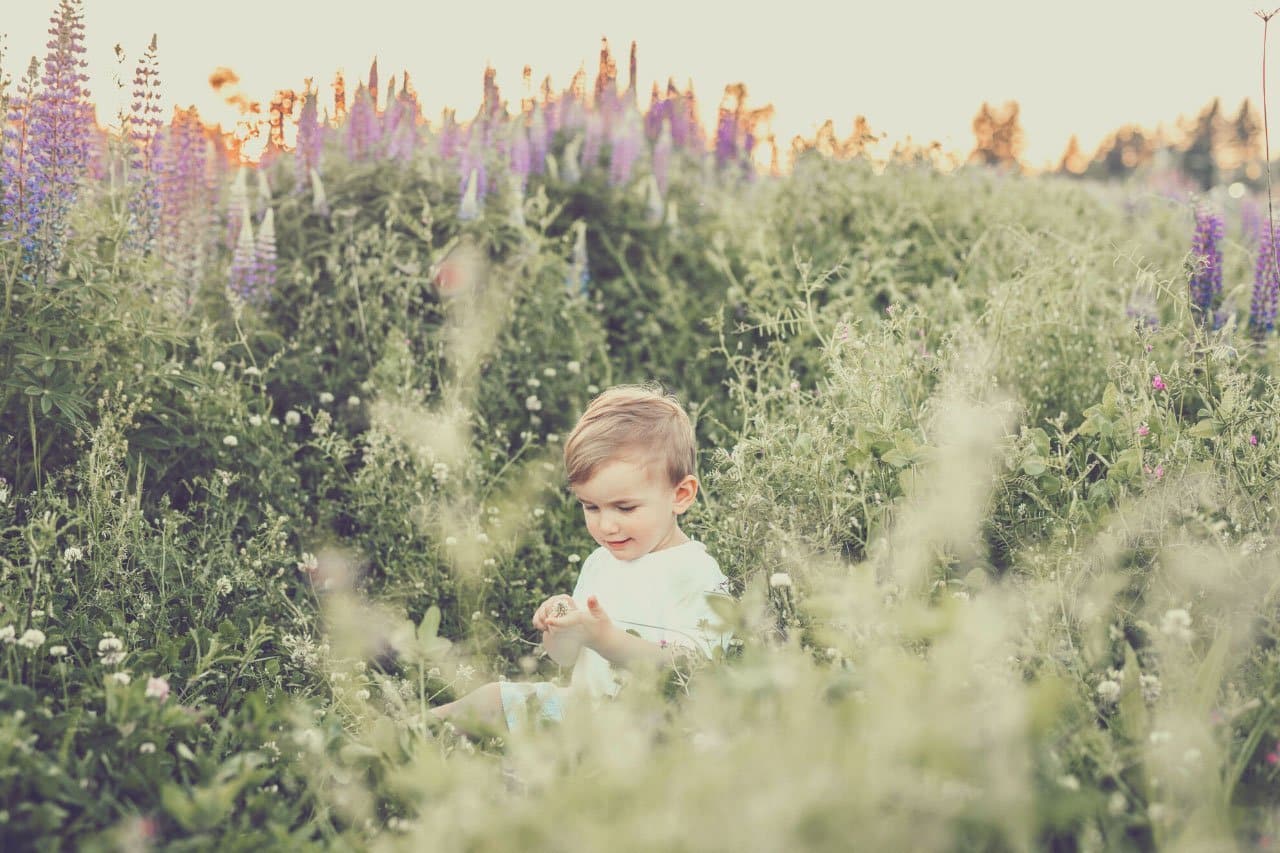 How to Entertain Your Kids all Weekend – For Free