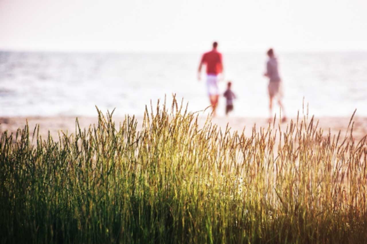 How to Rebuild Your Super After a COVID-19 Withdrawal
