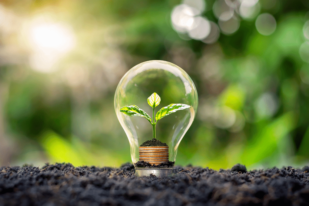 Everyday Habits to Lower Electricity Costs and Help the Environment